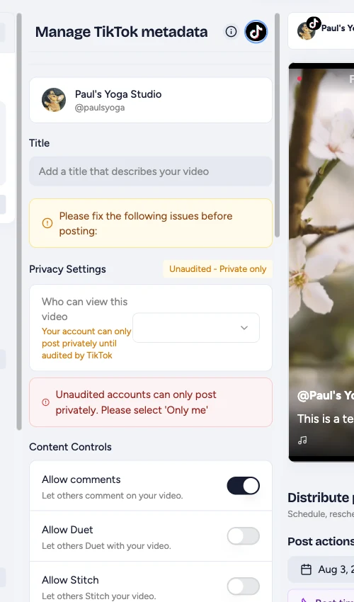 TikTok metadata showing required privacy settings and interaction controls