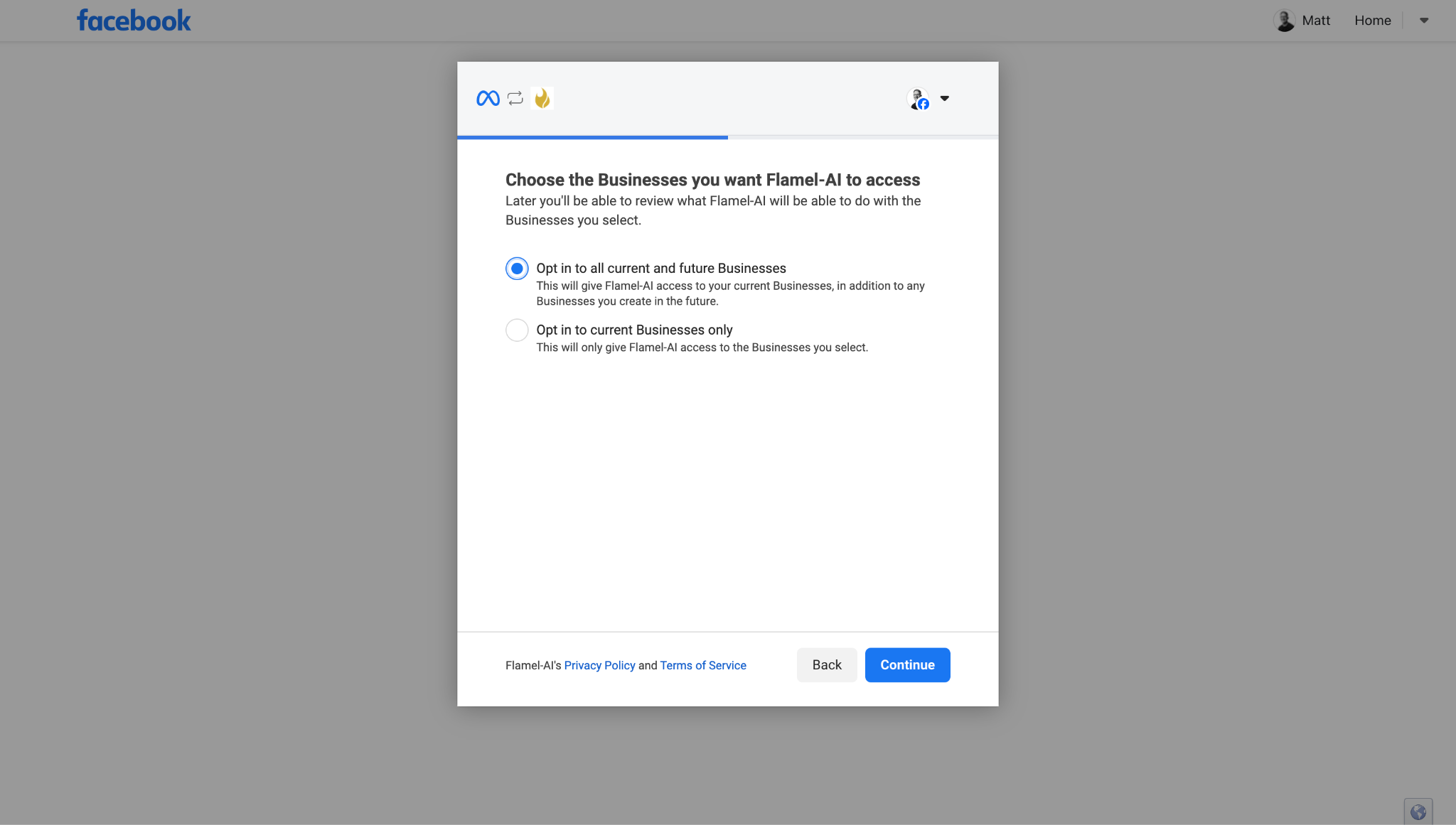 Meta screen: choose the Businesses you want Flamel to access, with Opt in to all current and future Businesses selected