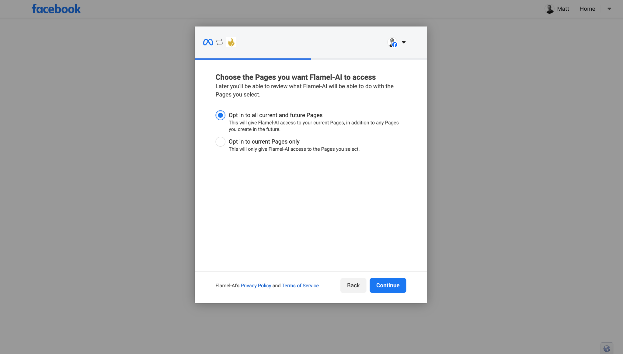 Meta screen: choose the Pages you want Flamel to access, with Opt in to all current and future Pages selected