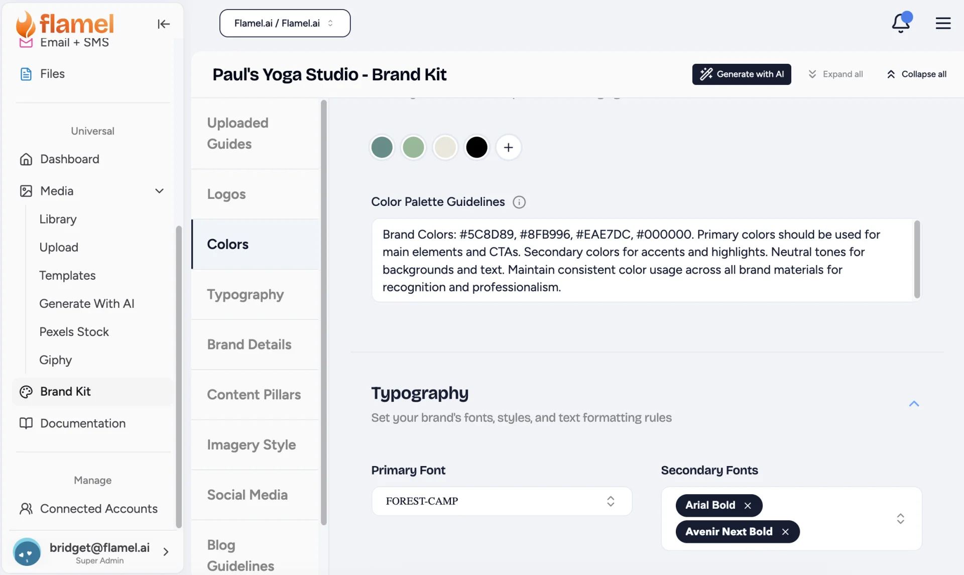 Brand Kit page showing brand color swatches, color palette guidelines, and primary and secondary fonts