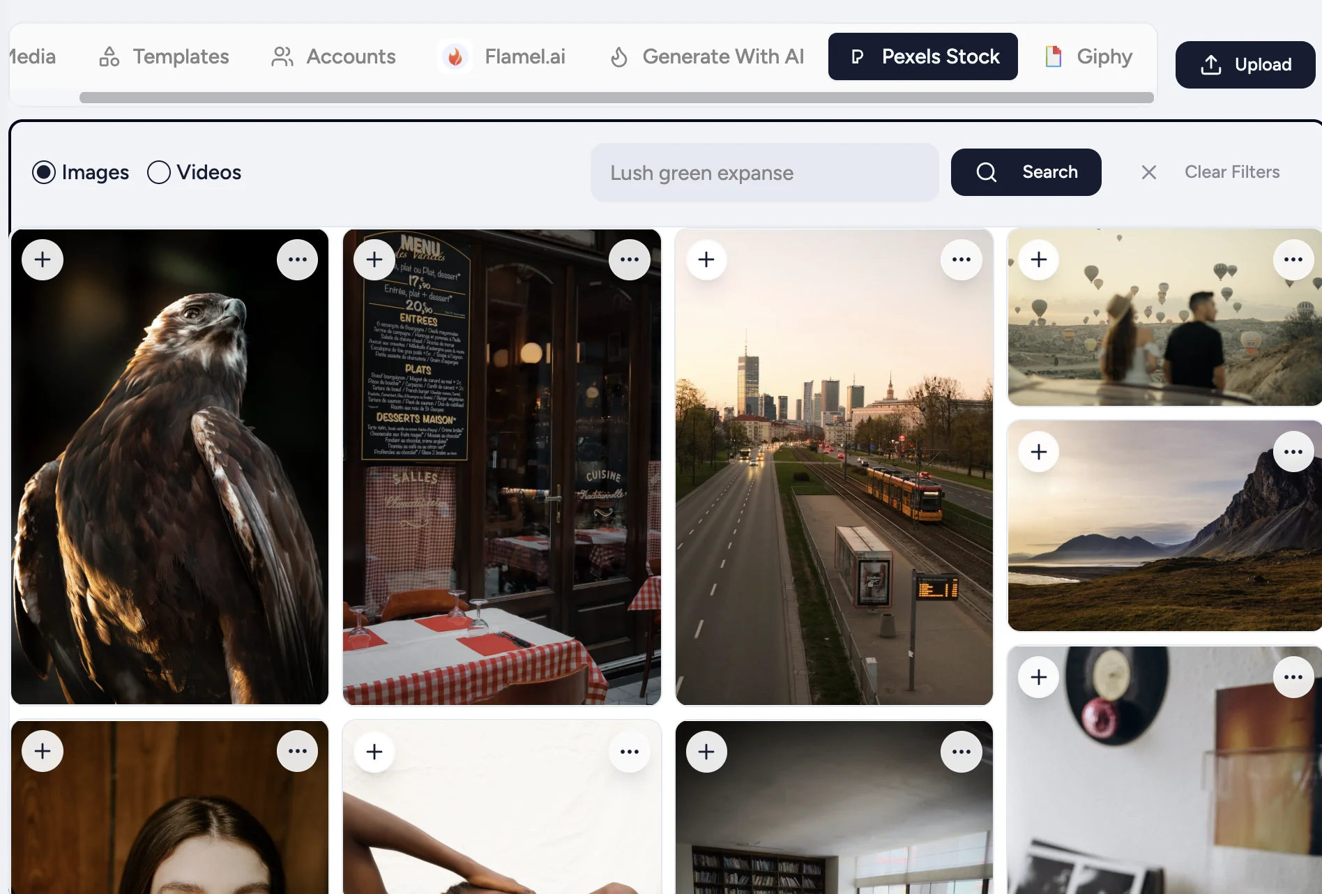 Pexels Stock tab with the Images toggle selected and stock photo search results